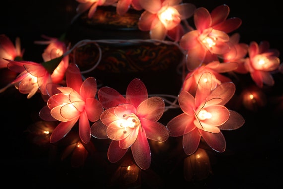 Fairy Lights 20 Pink Tone Flower String Lights by fairylighting