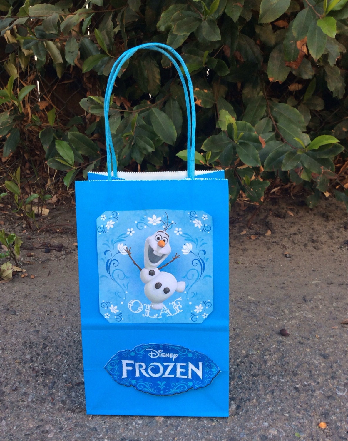 Frozen Disney Olaf Birthday Party Favor Bags