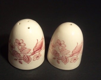Vintage Ceramic Floral Design Salt and Pepper Shakers