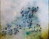 nature photography- fine art print ,flower photo,summer,rustic,vintage style photo,blue and gold,8x8,dreamy - Ascending nature photography- fine art print ,flower photo,summer,rustic,vintage style photo,blue and gold,8x8,dreamy - Ascending