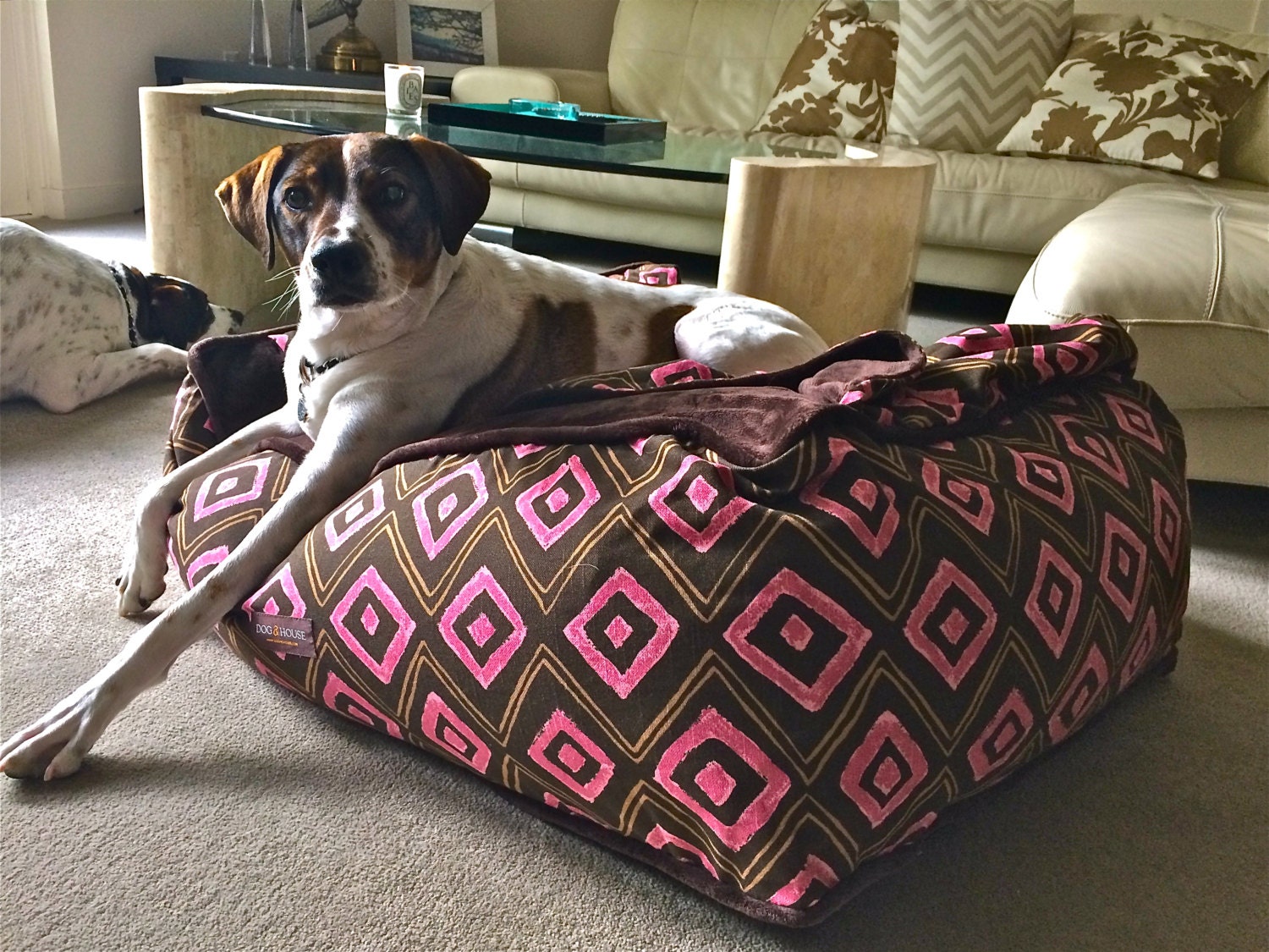 Premium Ottoman-Style Dog Bed The Cloud Bed