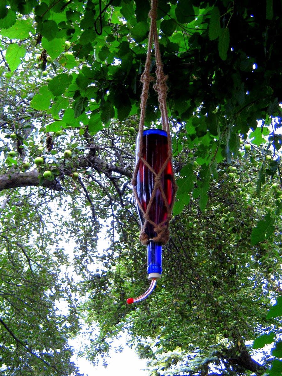 Macrame hummingbird bottle feeder hanger by beautifulpurpose