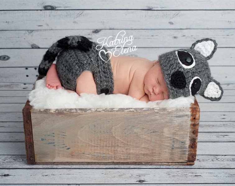 Baby Raccoon Raccoon Hat and Diaper Cover Photo Prop