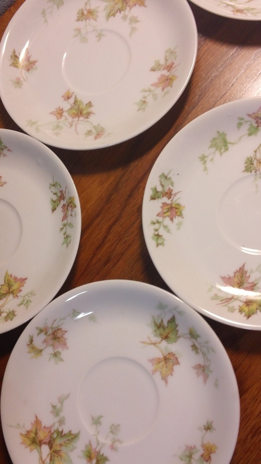 Autumn Leaf Haviland and Co Limoges France vintage