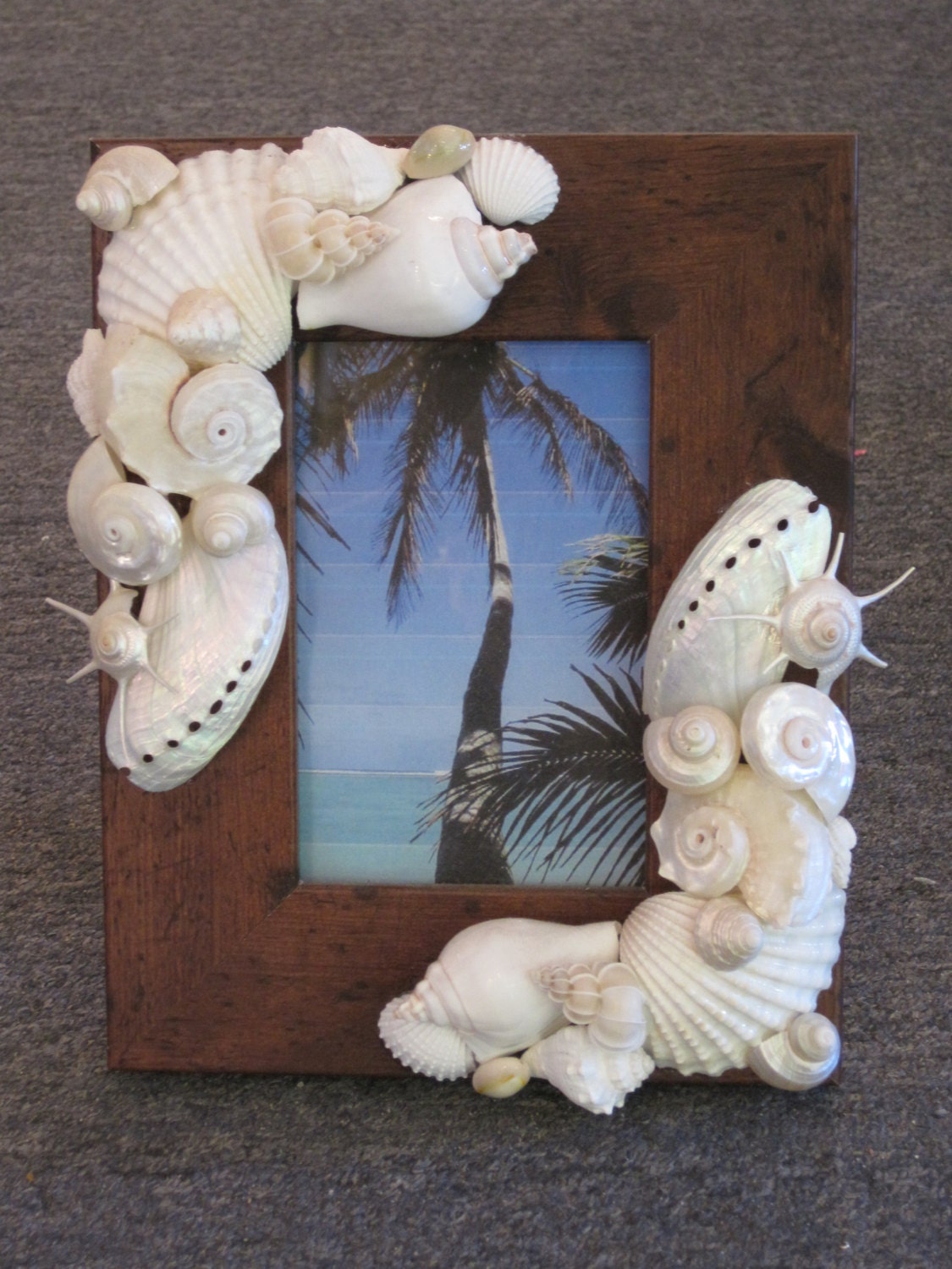 Beach Decor Seashell Picture Frame Shell Frame by LiveCoastal