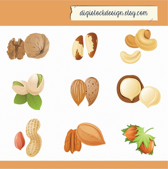 clipart pictures of nuts - photo #38
