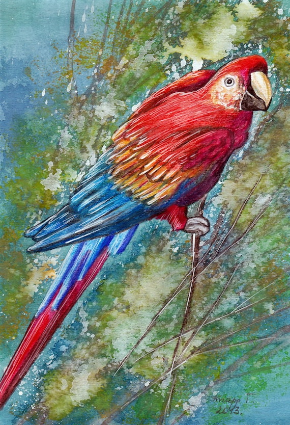 Parrot. Original Painting Watercolor Handpainted 76 x116