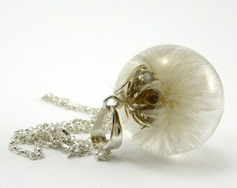 White Dandelion Pendant, Real Dandelion Necklace, Very Fluffy Dandelion Medium Resin Round with Sterling Silver Chain