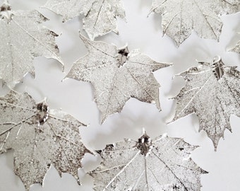 One Silver REAL Maple Leaf Pendant - 2" to 2.25" wide - Asymmetrical-