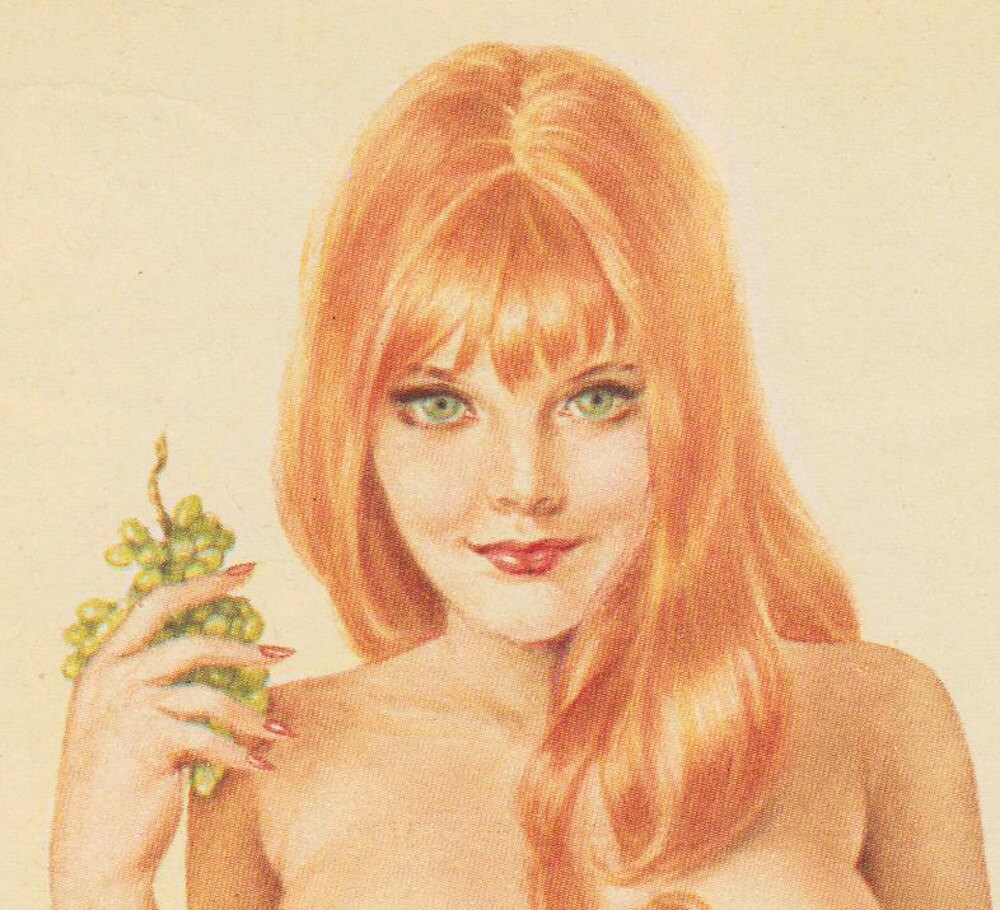 PLAYBOY MAGAZINES 1978 (COMPLETE YEAR) PLAYBOY MAGAZINES 1978 (COMPLETE YEAR)