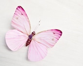 Pink and White - 8x8 whimsical butterfly photo, nursery art, girls room decor, pastel pink, butterfly decor, dreamy