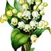 troie99