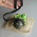 Real Pet Rock on a Leash with ladybug outfit and burlap bed.