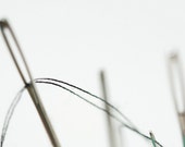 threaded - 5x7 photo - sand and petals photography