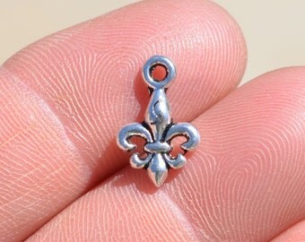 15 Silver Fleur de Lis Charms SC2440