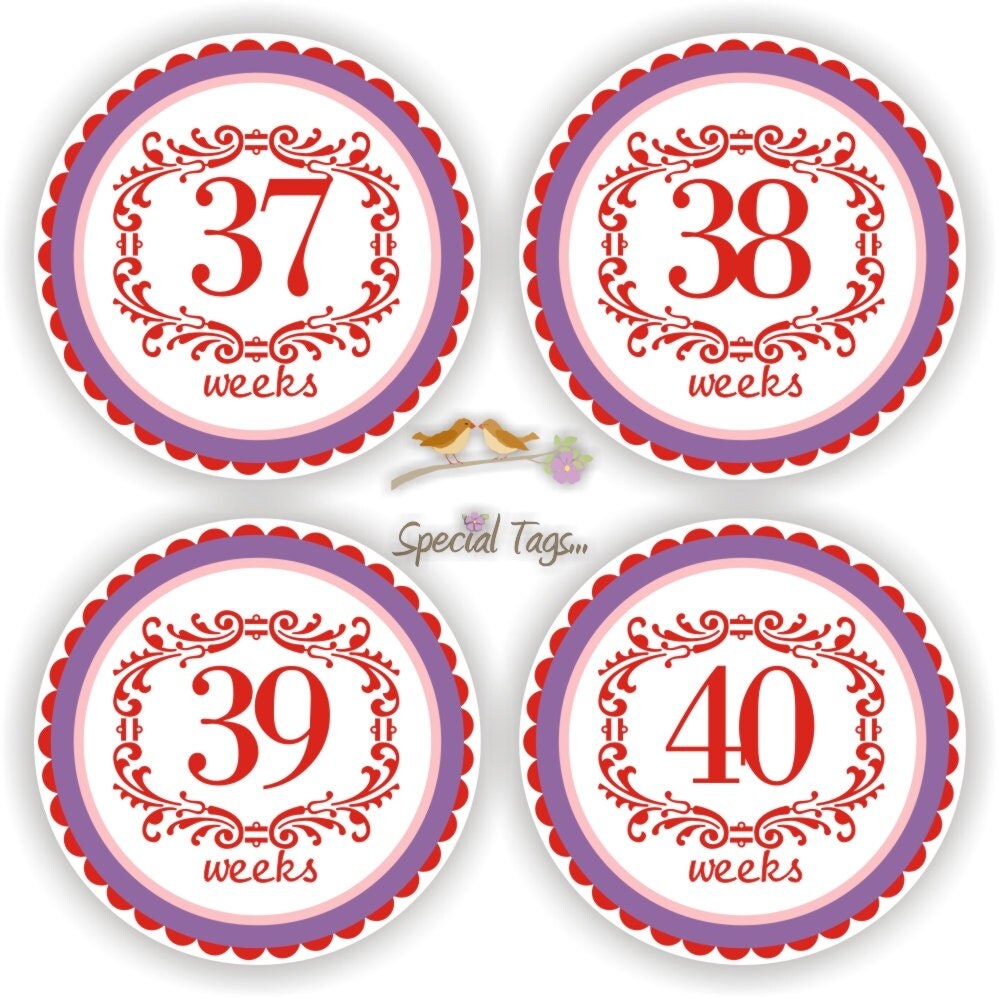 pregnancy-stickers-maternity-stickers-baby-bump-labels