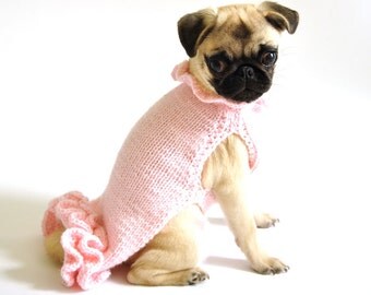 Pullover Dog Sweater Dress