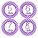 Baby Month Stickers Girl Month by Month Stickers Purple Polka
