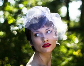 Birdcage Veil, Wedding Veil, Blusher Veil, Mini Tulle Veil, Bachelorette Veil, Short Veil, White Veil, Ivory Veil, Champagne Veil, Black