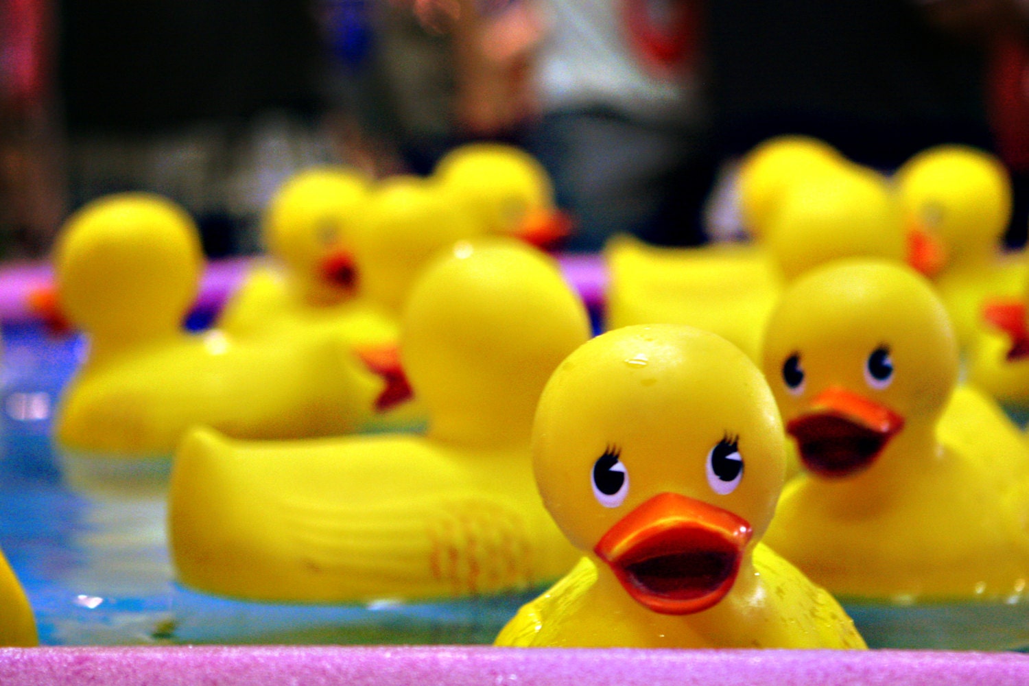 Rubber Ducky Fair Carnival Photography Art by saragosathemovie