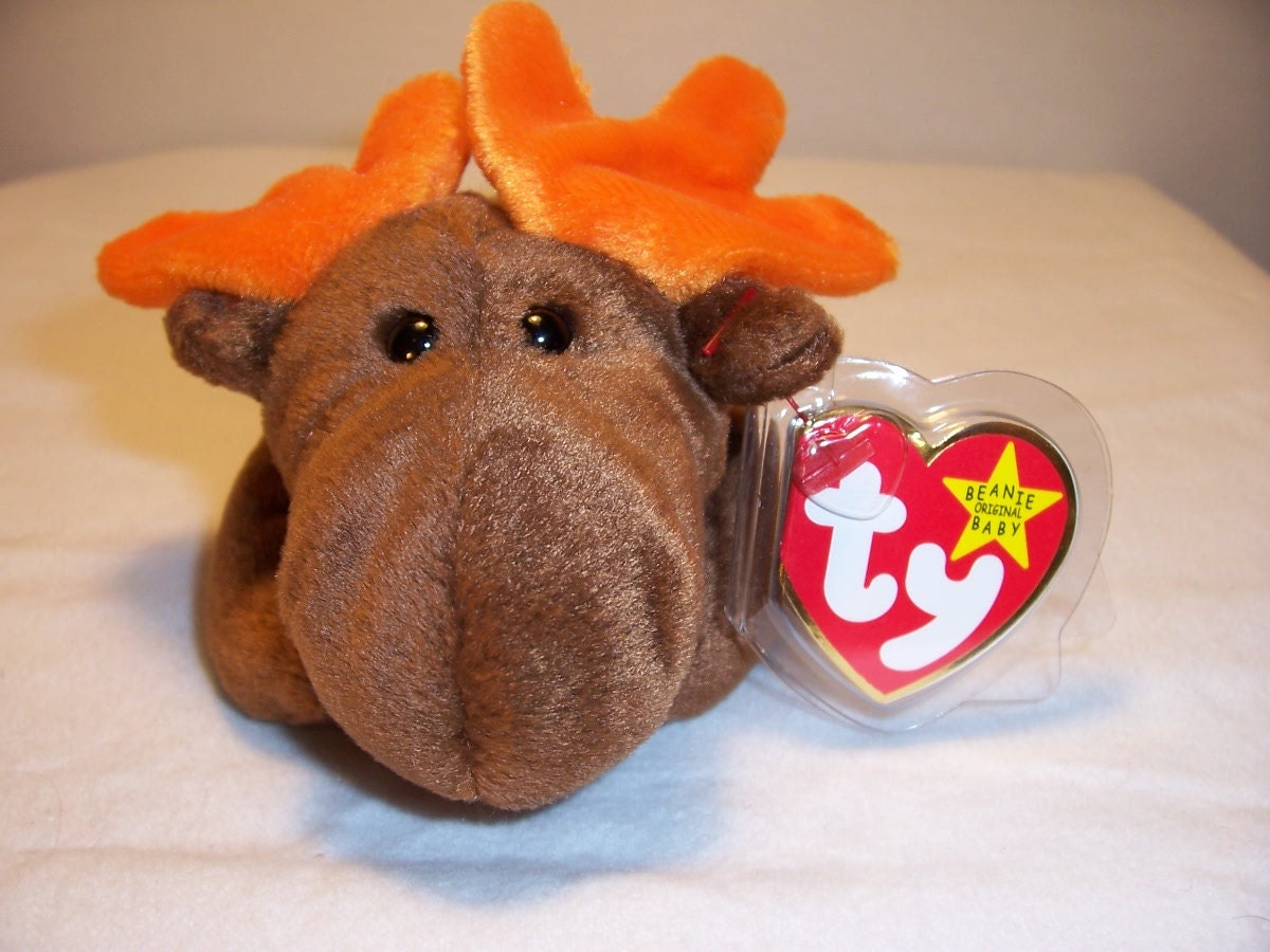 ty chocolate the moose