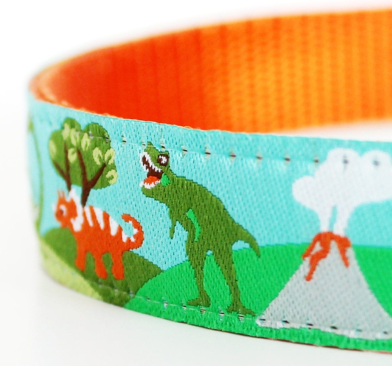 Prehistoric Dinosaur Dog Collar / Adjustable Dog Collar