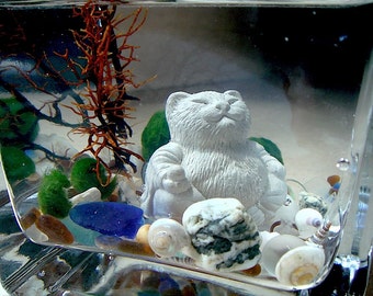 Live Marimo Balls and Mini Cat Buddha Mini Aquarium / Terrarium