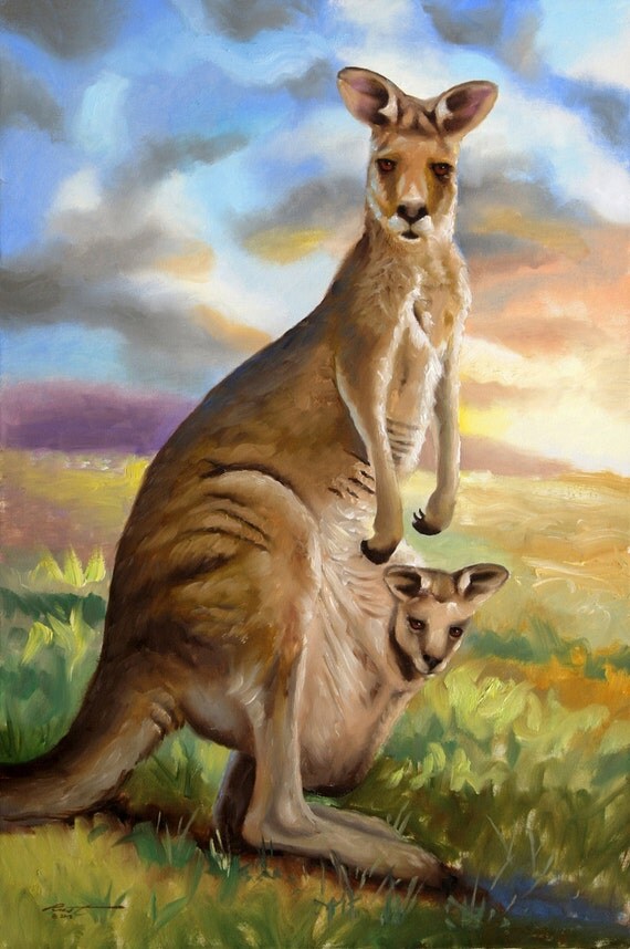 Kangaroo wildlife animal large 36x24 oils on canvas painting