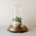 Vintage Glass Display Dome with Brass Base - 8 inch dome