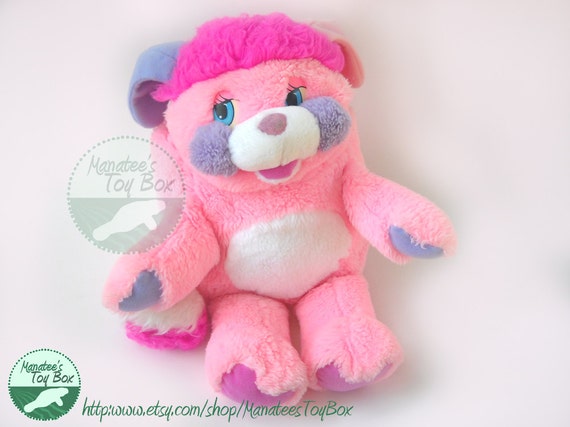 popple teddy