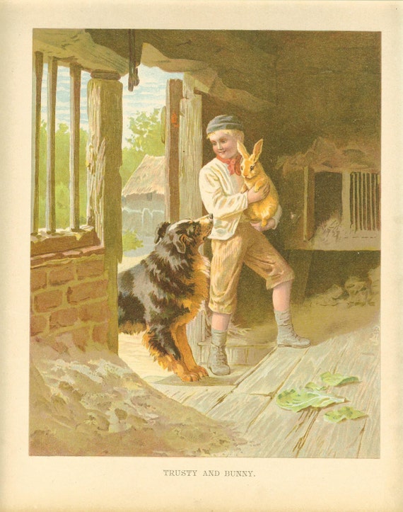 Edwardian 1900s Ernest Nister Antique Childrens Print  Boy Holding Rabbit Barn Outhouse Black And Tan Collie Dog Looking Up Book Plate