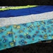 Classroom Apron- Bugs (blue & green)