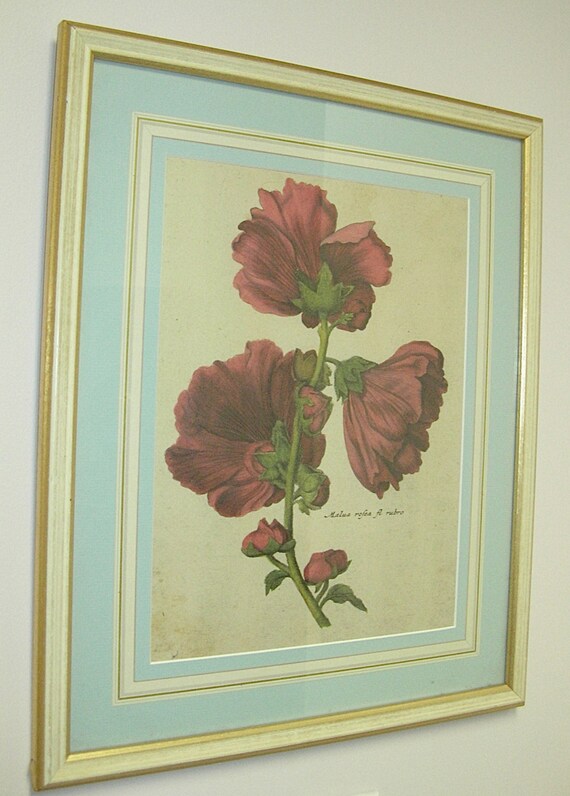Vintage Framed Floral Botanical Print by lavintagefurnishings