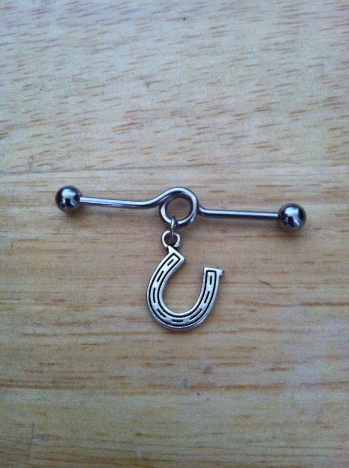 Industrial Barbell Silver Horse Shoe Industrial Barbell