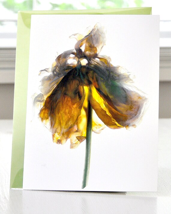 Floral Note Card-- Peony White free Shipping in the US