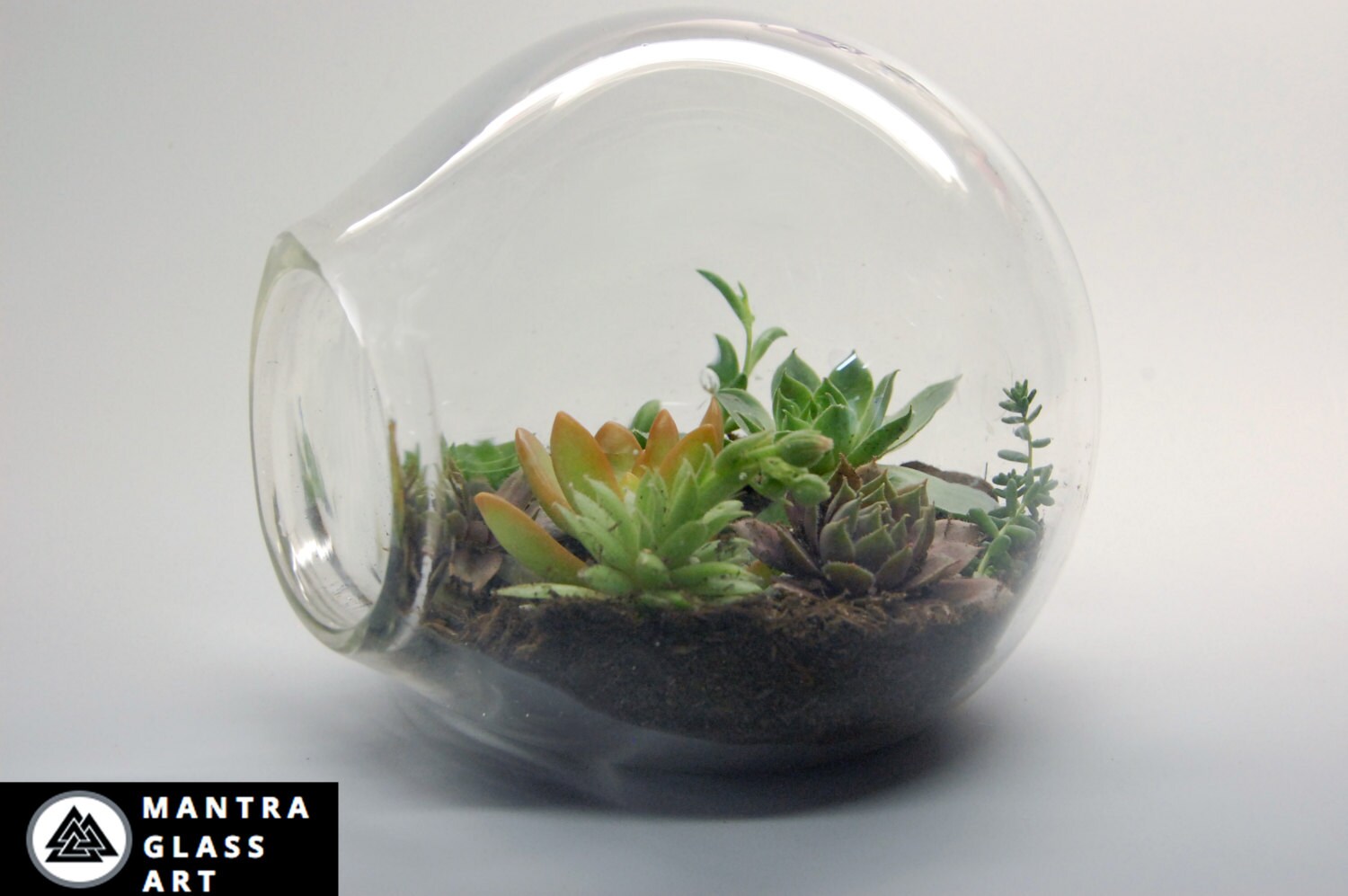 terrarium blown glass terrarium recycled glass terrarium terrarium blown glass terrarium recycled glass terrarium