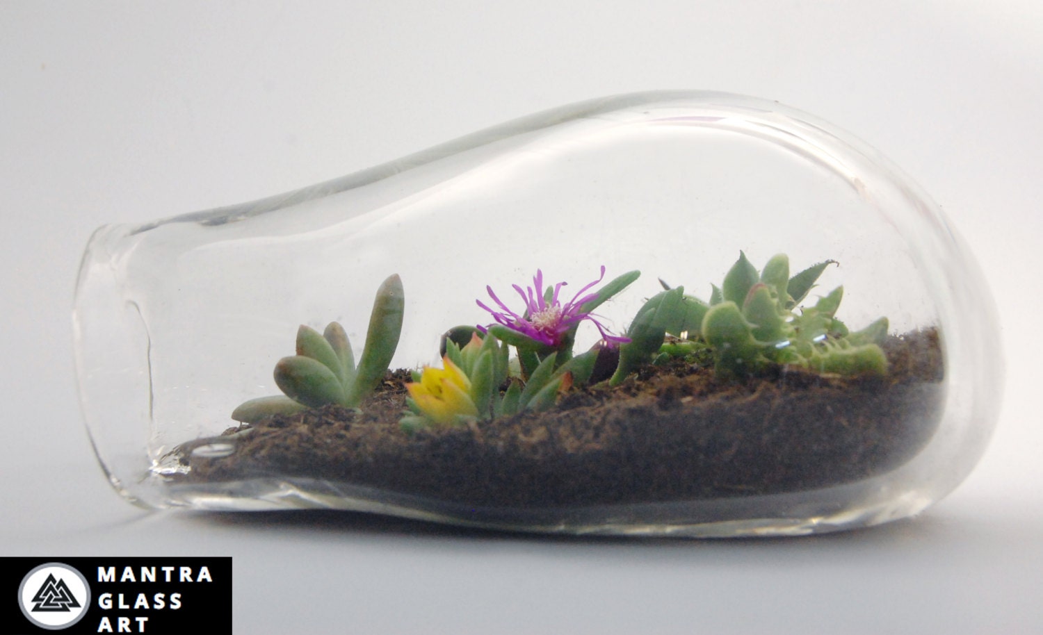 terrarium sale blown glass terrarium recycled glass terrarium sale blown glass terrarium recycled glass