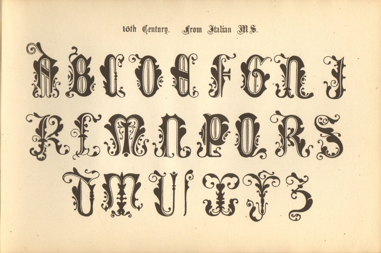 Antique Page typographie Alphabet lettre livre plaque