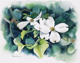 Dogwood Blooms. Original Watercolor, 16 x 12, FREE SHIPPING