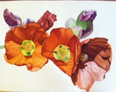 Desert Poppies, ORIGINAL watercolor painting, colorful floral, yellow, orange, browns, blues, contemporary, decorative colors