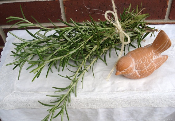 Fresh Rosemary and Sage Bundled for a Bouquet Garni