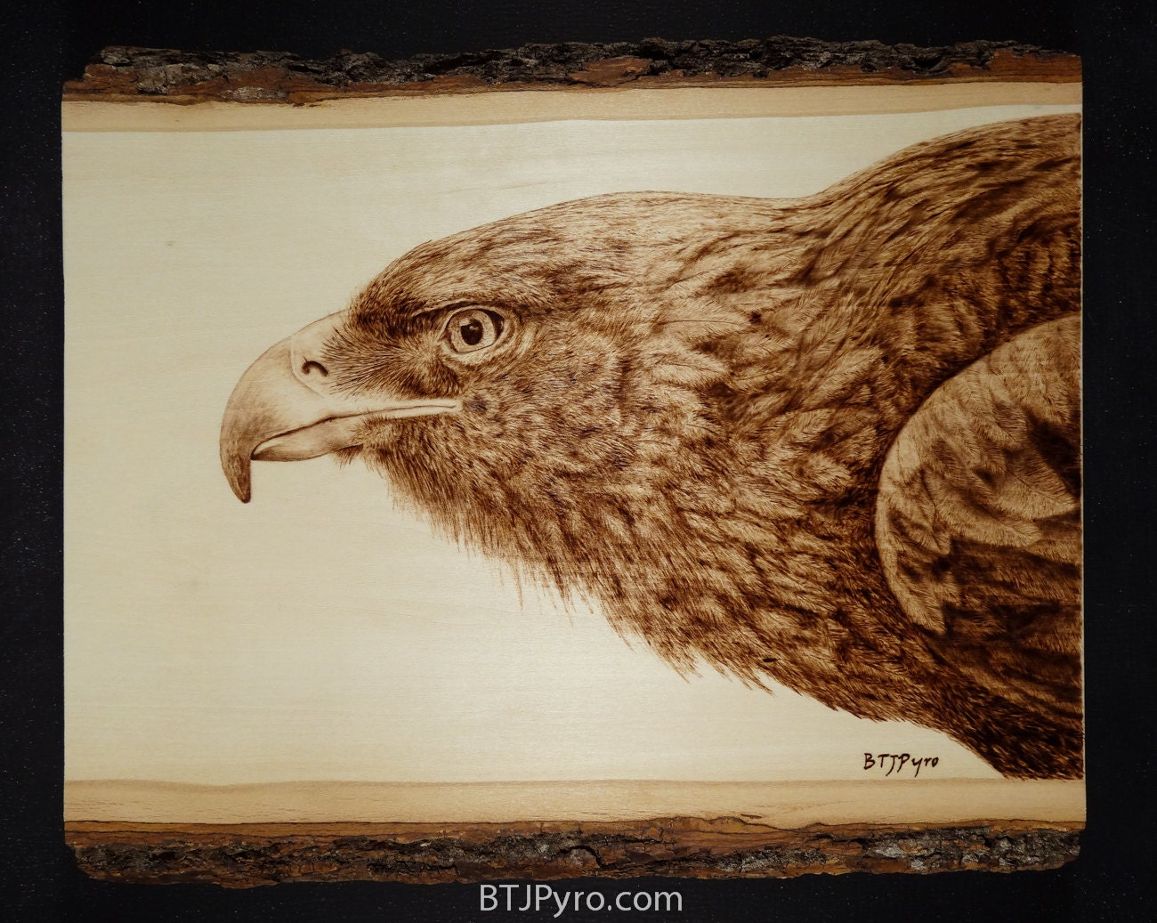 Golden Eagle Woodburning