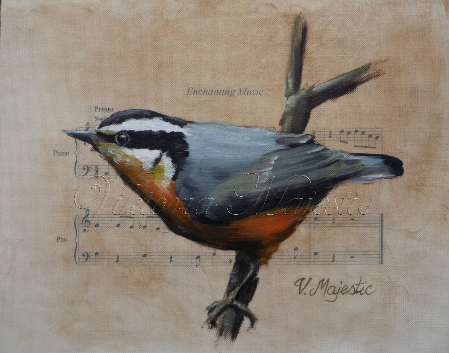 Red Breasted Nuthatch Song Bird Print On Sheet Music Fine