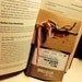 5 Loose Leaf Tea Samples NET 20 - 30 grams/ .70 oz - 1.06 oz