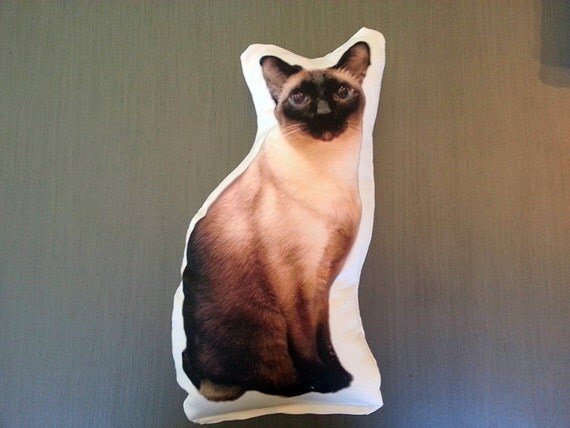 custom cat pillow