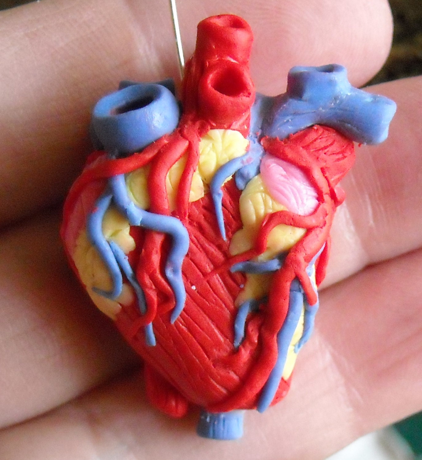 Сердце из пластилина. Сердце человека из пластилина. Человеческое сердце из пластилина. Макет сердца человека. Макет сердца человека из пластилина.