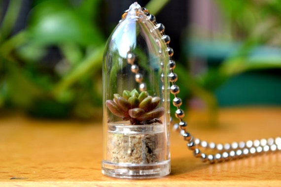 Little Gemstone Live Terrarium Necklace / Nature Jewelry / Girlfriend Gift / Succulent Plant