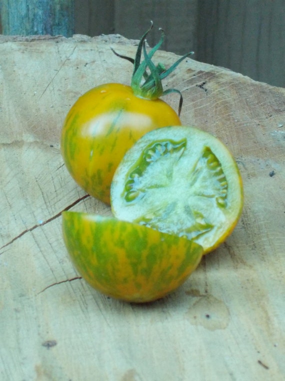 green zebra tomato beefsteak