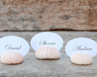 50 Sea Urchin Shell Place Card Holders for Beach Wedding - Natural Pink - Reception Table Decor - Guest Escort Favor