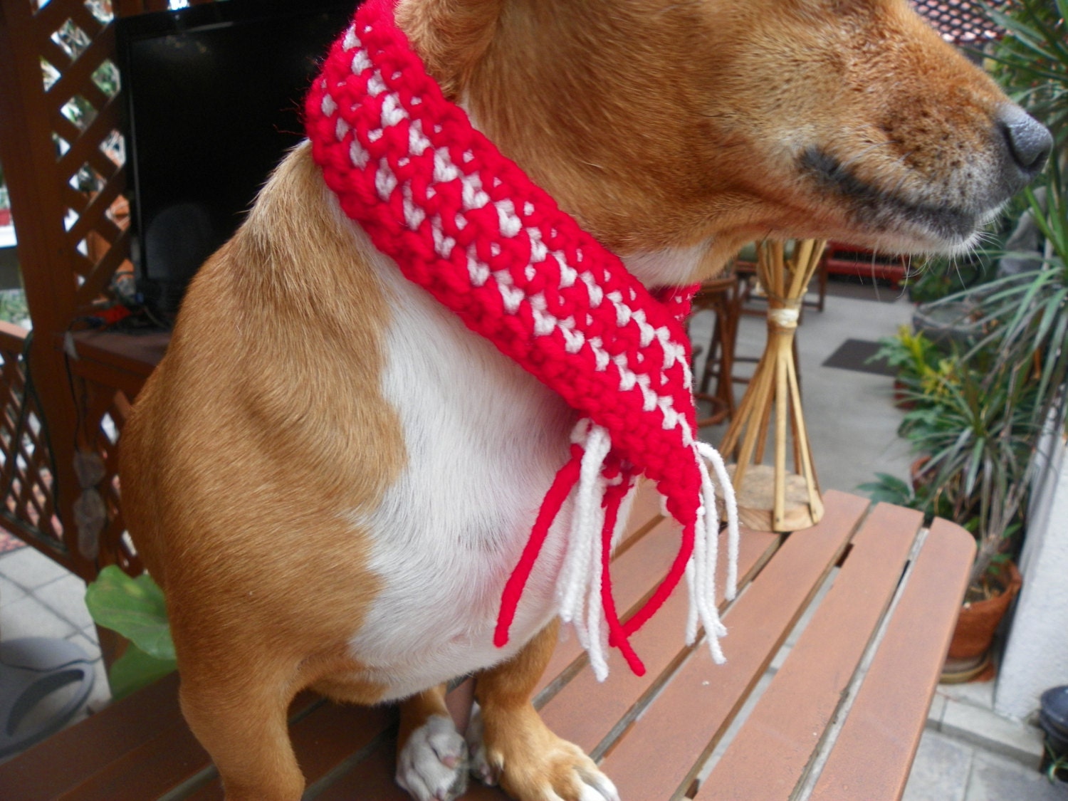 Red and White DogCat Scarf Christmas Dog Scarf Sizes